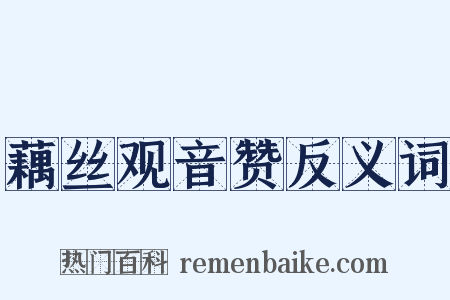藕丝观音赞反义词是什么意思的图片